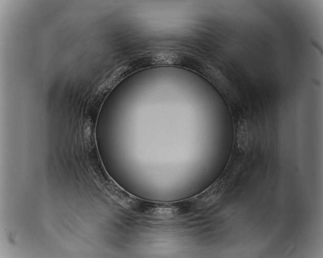 X0000101660314200807241423