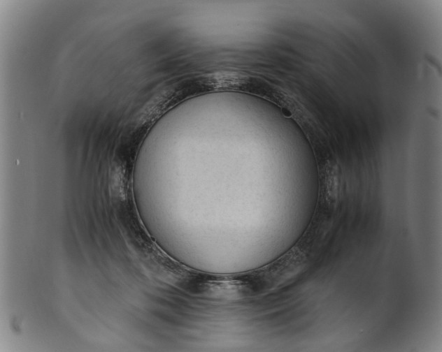 X0000101660316200807241423