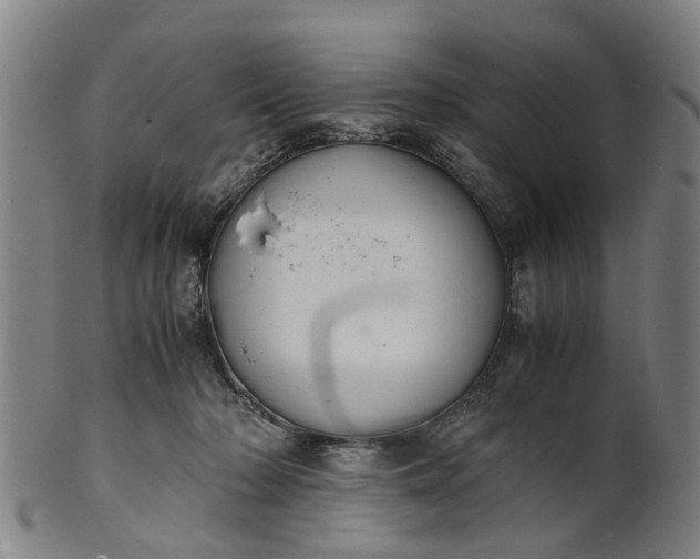 X0000101660318200807241423