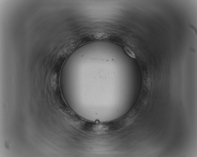 X0000101660319200807241423