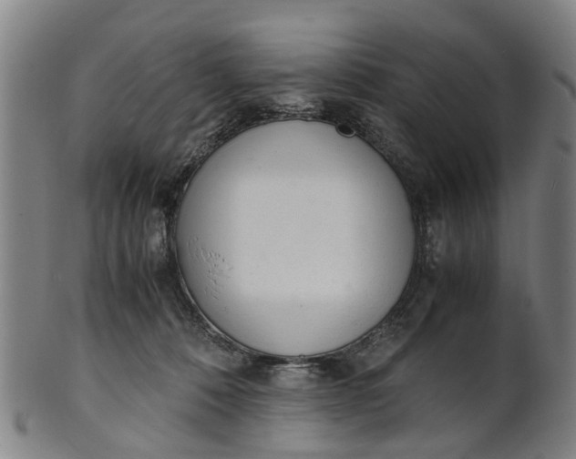 X0000101660320200807241423