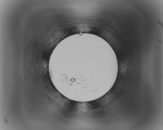 X0000101660321200807241423