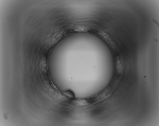 X0000101660322200807241423