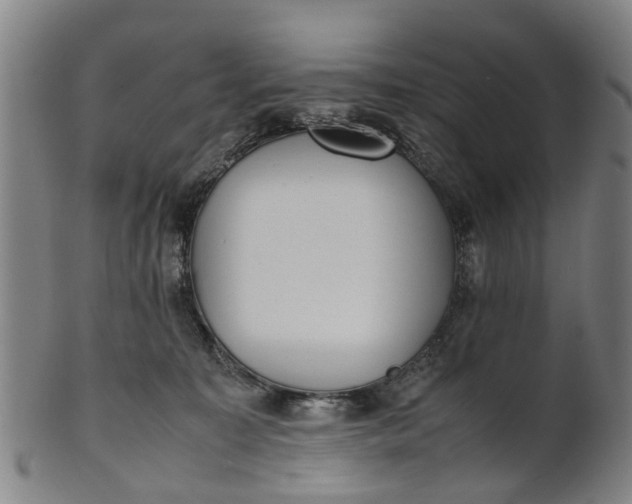 X0000101660323200807241423