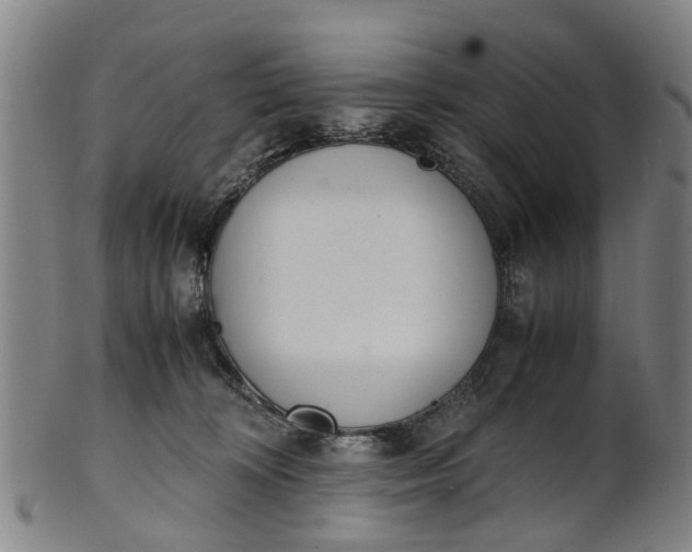 X0000101660324200807241423