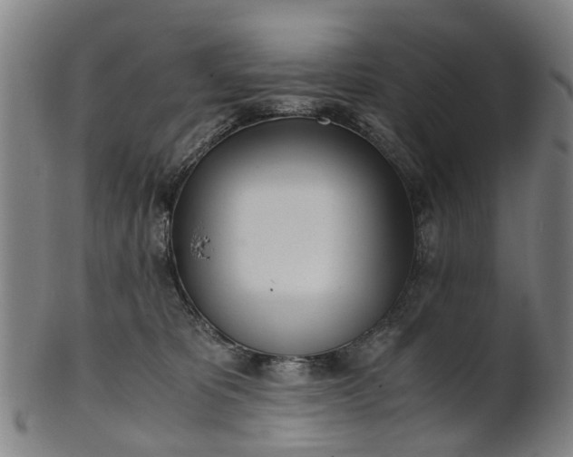 X0000101660325200807241423