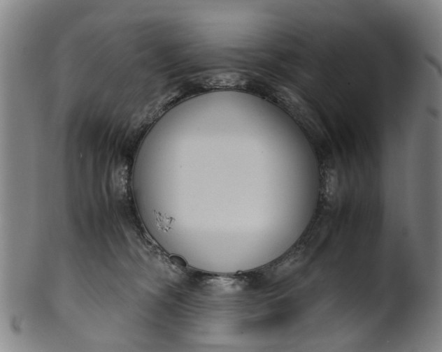 X0000101660326200807241423