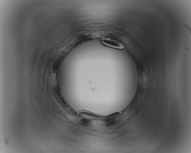 X0000101660327200807241423