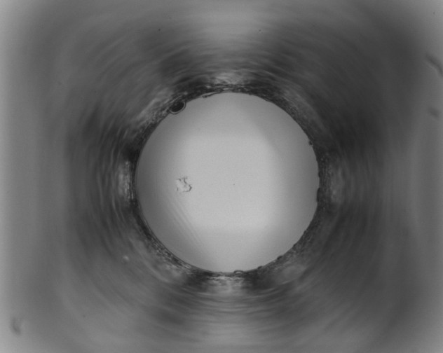 X0000101660328200807241423