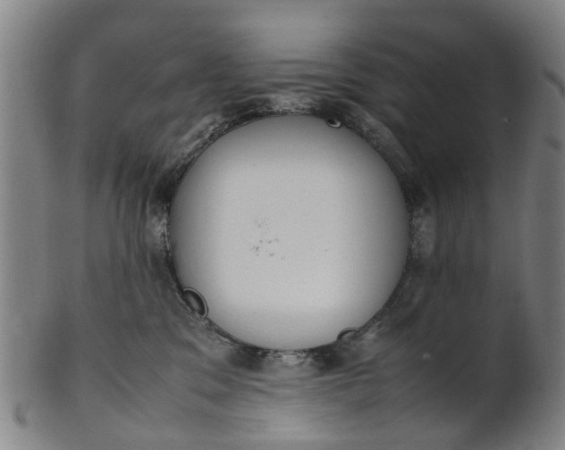 X0000101660329200807241423