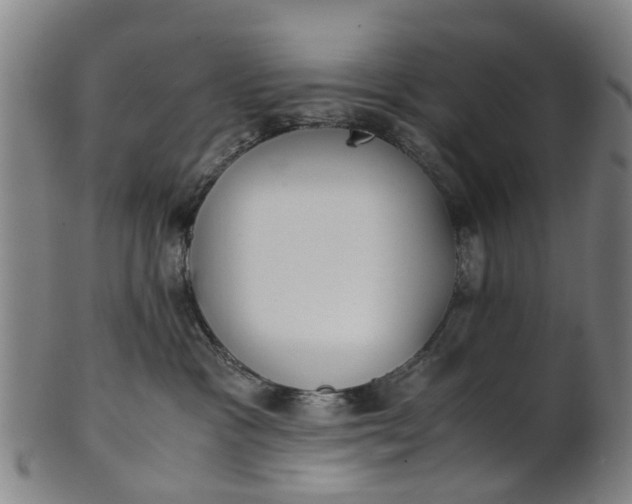 X0000101660333200807241423