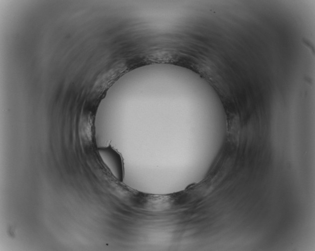 X0000101660334200807241423