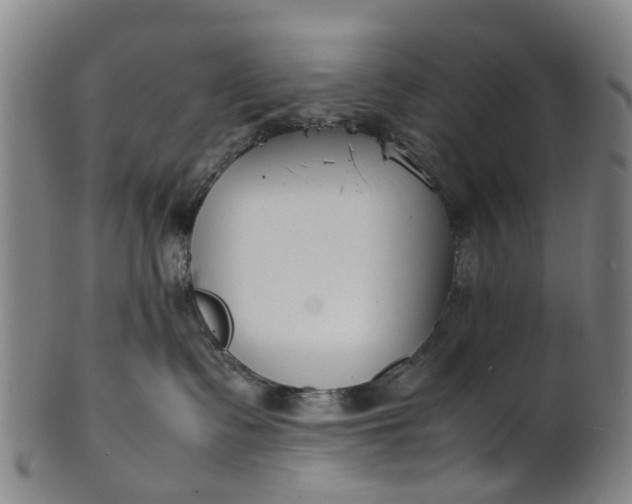 X0000101660335200807241423