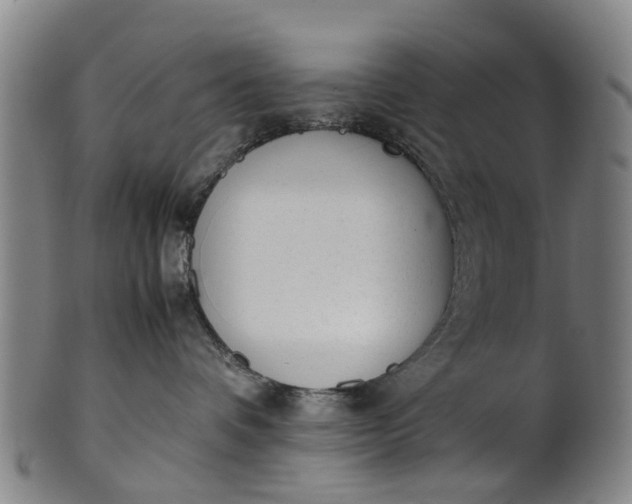 X0000101660336200807241423