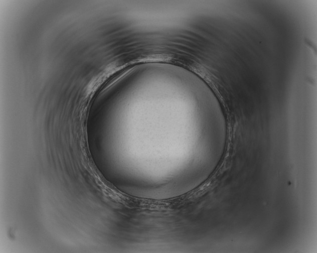 X0000101660337200807241422