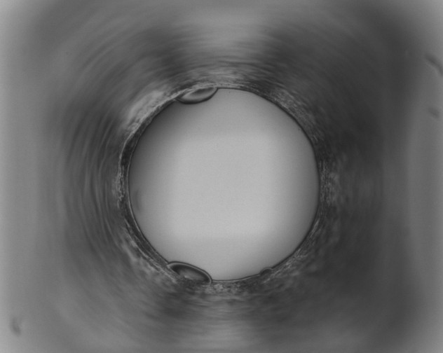 X0000101660338200807241422