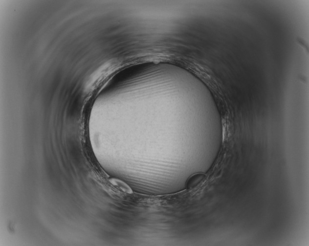 X0000101660339200807241422