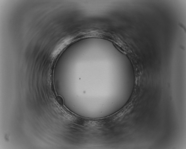 X0000101660341200807241422