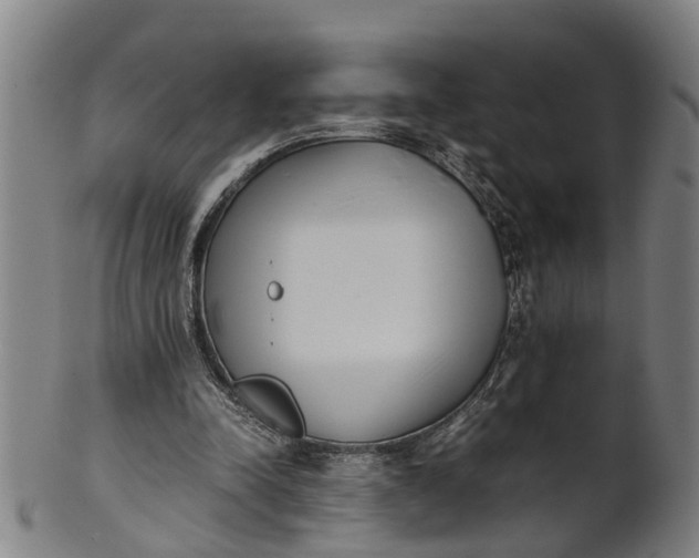 X0000101660342200807241422