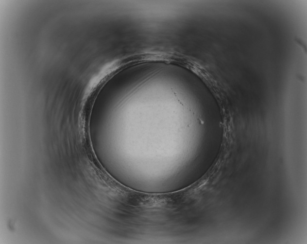 X0000101660343200807241422