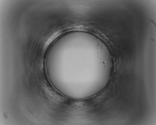 X0000101660344200807241422