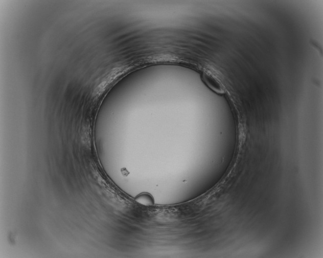 X0000101660345200807241422