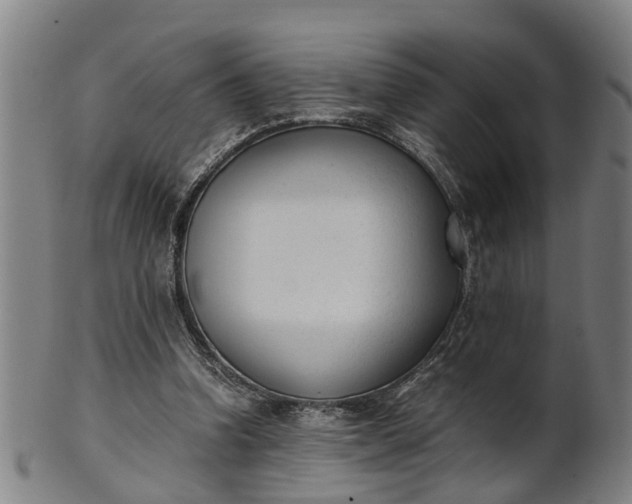 X0000101660346200807241422