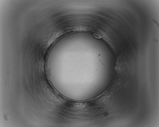 X0000101660347200807241422