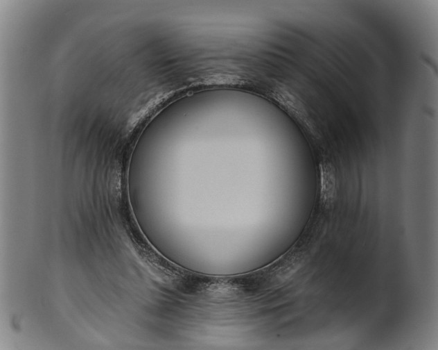 X0000101660348200807241422