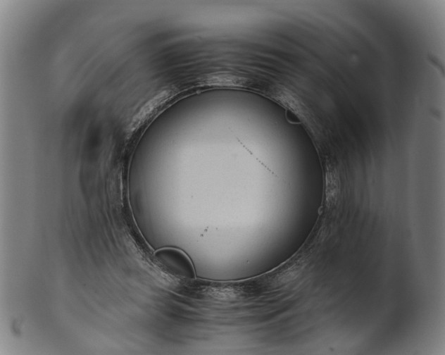 X0000101660349200807241422