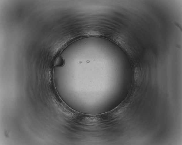 X0000101660351200807241423