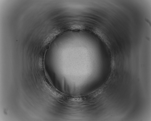 X0000101660353200807241423