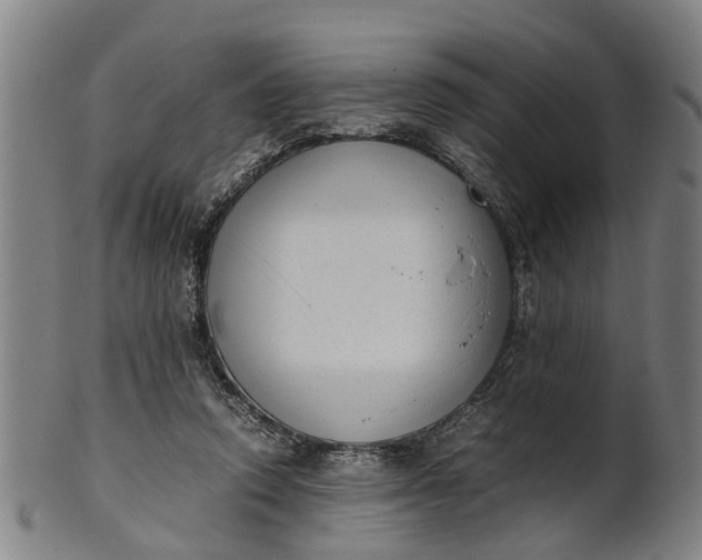 X0000101660354200807241423