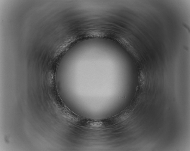 X0000101660355200807241423