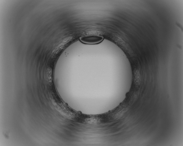 X0000101660356200807241423