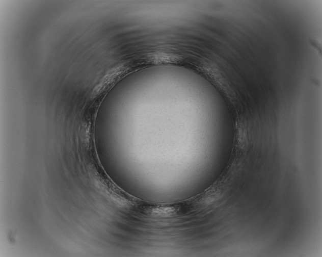 X0000101660357200807241423