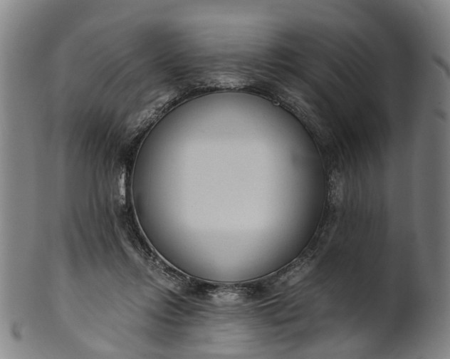 X0000101660358200807241423