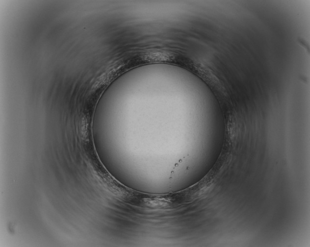 X0000101660359200807241423