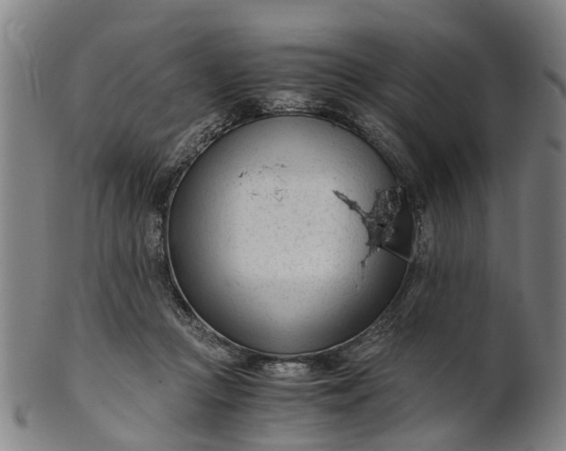 X0000101660361200807241423