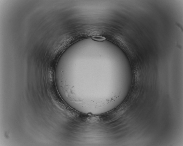 X0000101660362200807241423