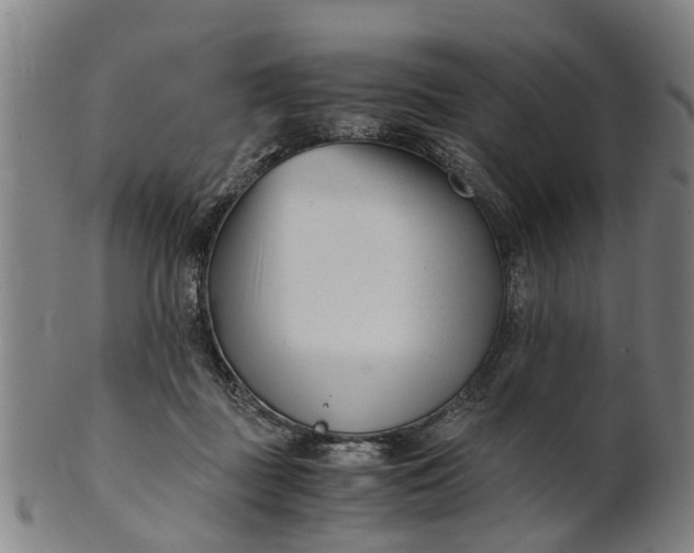 X0000101660363200807241423