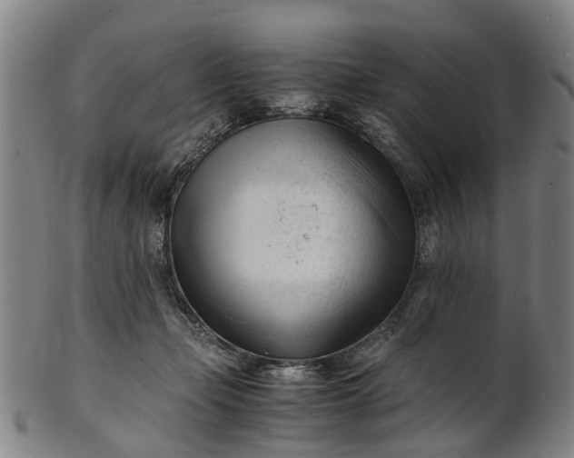 X0000101660365200807241423