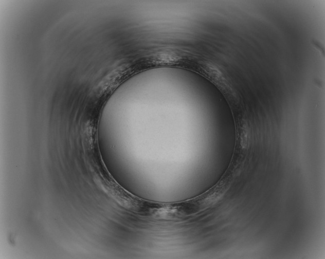 X0000101660366200807241423