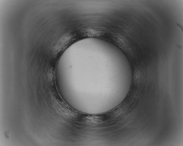 X0000101660367200807241423