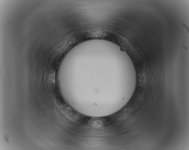 X0000101660368200807241423