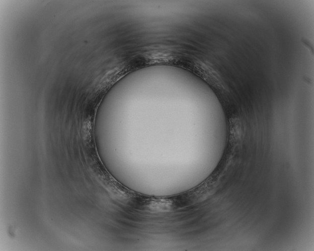 X0000101660369200807241423