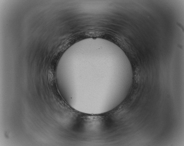 X0000101660371200807241423