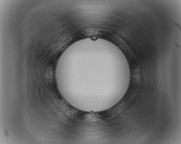 X0000101660372200807241423