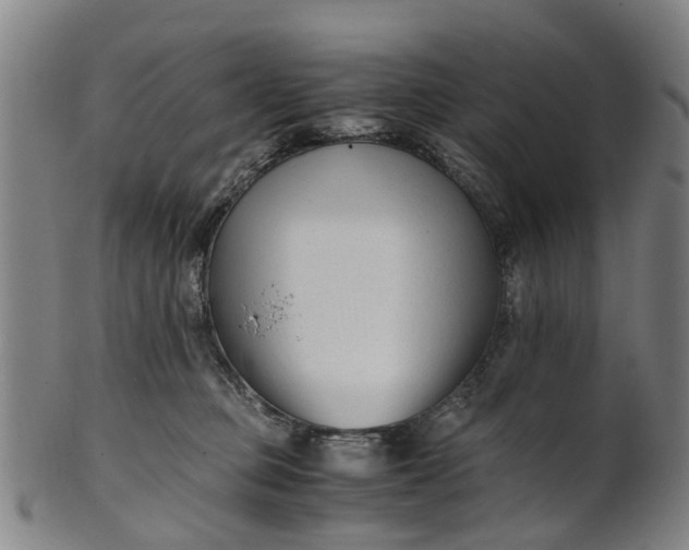 X0000101660373200807241423