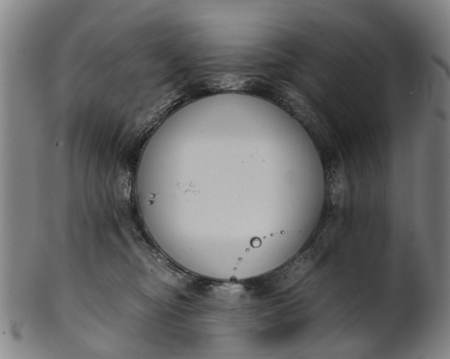 X0000101660374200807241423